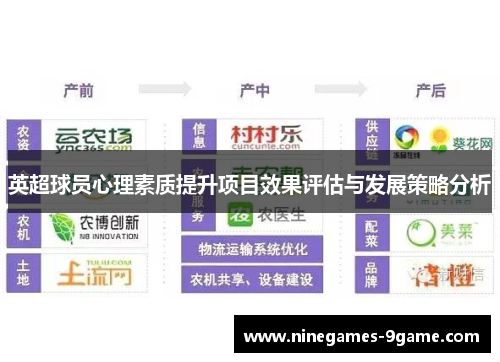 英超球员心理素质提升项目效果评估与发展策略分析