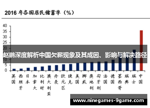 赵鹏深度解析中国欠薪现象及其成因、影响与解决路径