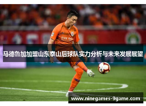 马德鲁加加盟山东泰山后球队实力分析与未来发展展望